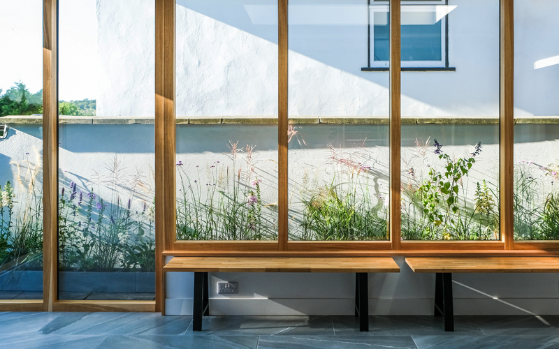 glass roof with timber beams